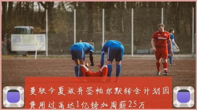 曼联今夏放弃签帕尔默转会计划因费用过高达1亿镑加周薪25万