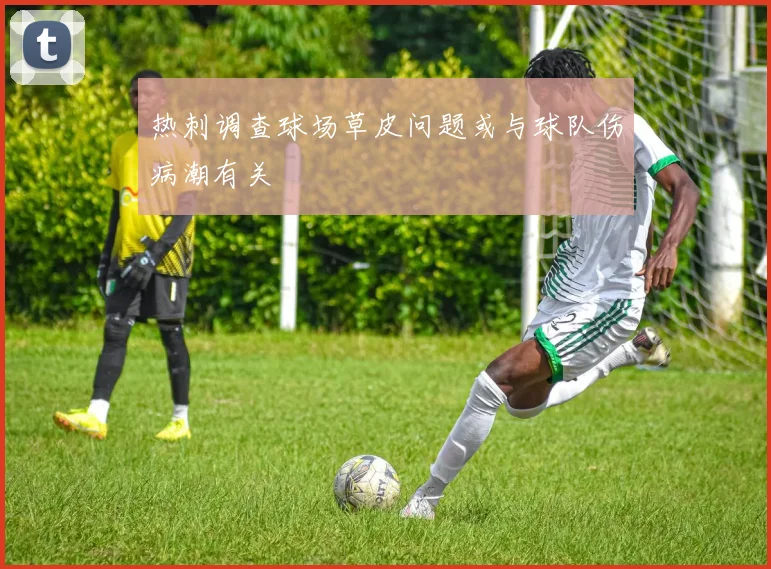 热刺调查球场草皮问题或与球队伤病潮有关